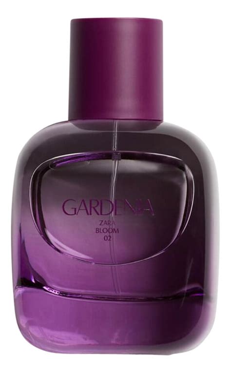 gardenia zara perfume|gardenia zara perfume price.